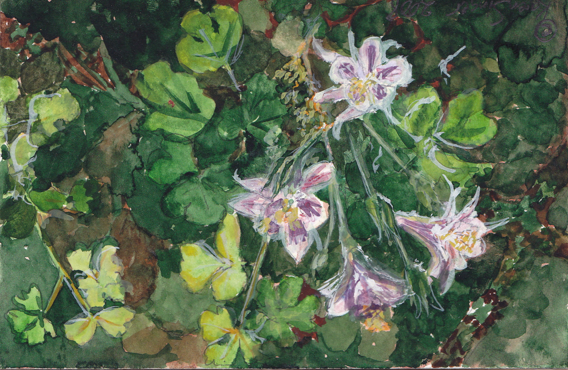 Karen Singer Watercolor 2