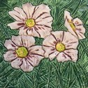 Cosmos Ceramic Tikle